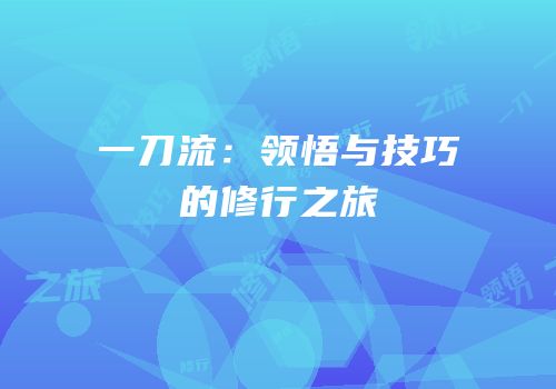 一刀流：领悟与技巧的修行之旅