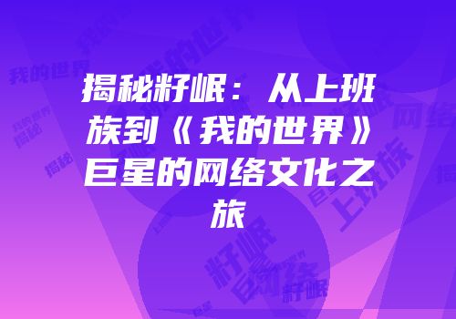 揭秘籽岷：从上班族到《我的世界》巨星的网络文化之旅