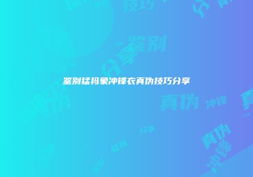 鉴别猛犸象冲锋衣真伪技巧分享