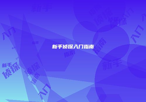 新手侦探入门指南