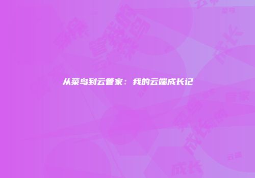 从菜鸟到云管家：我的云端成长记