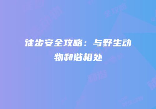 徒步安全攻略：与野生动物和谐相处
