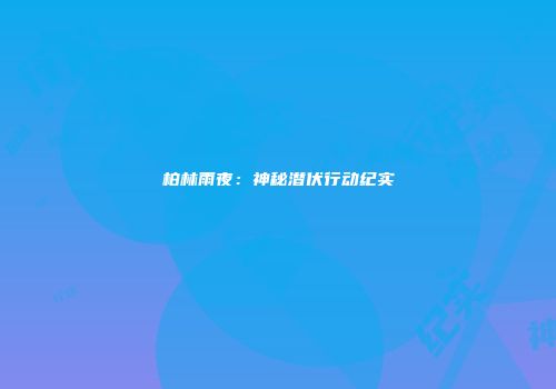 柏林雨夜：神秘潜伏行动纪实