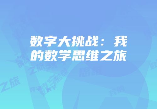 数字大挑战：我的数学思维之旅