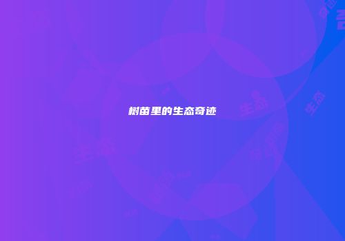 树苗里的生态奇迹