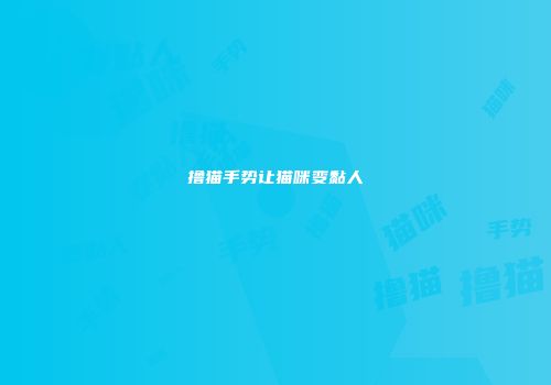 撸猫手势让猫咪变黏人