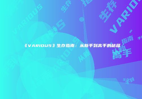 《VARIOUS》生存指南：从新手到高手的秘籍