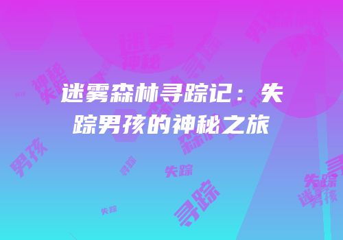 迷雾森林寻踪记：失踪男孩的神秘之旅