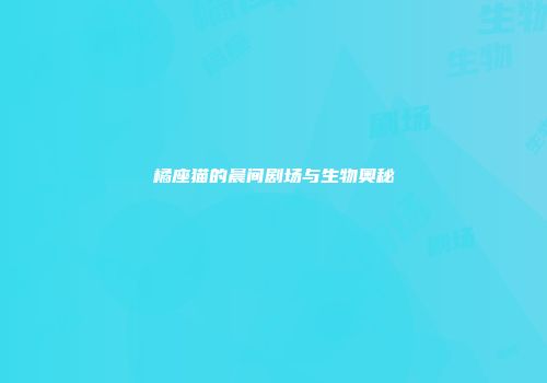 橘座猫的晨间剧场与生物奥秘