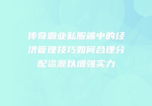 传奇霸业私服端中的经济管理技巧如何合理分配资源以增强实力