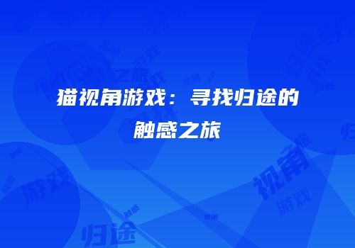 猫视角游戏：寻找归途的触感之旅