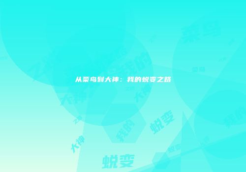 从菜鸟到大神：我的蜕变之路