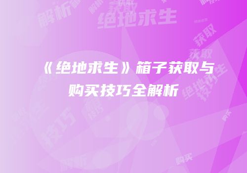 《绝地求生》箱子获取与购买技巧全解析