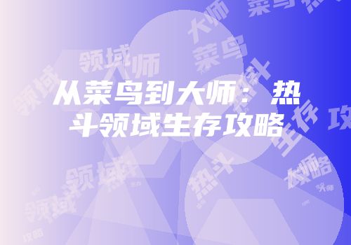 从菜鸟到大师：热斗领域生存攻略