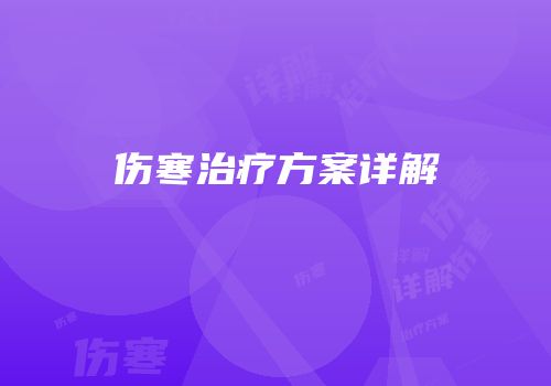 伤寒治疗方案详解