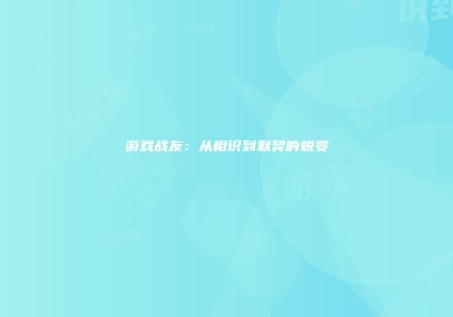 游戏战友：从相识到默契的蜕变