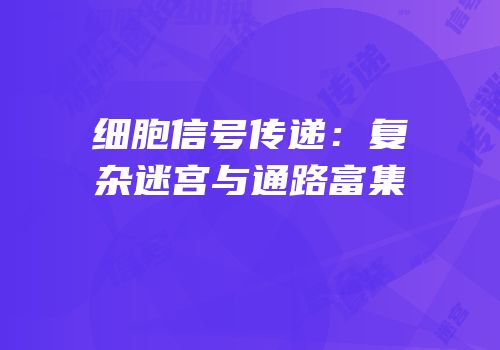 细胞信号传递：复杂迷宫与通路富集