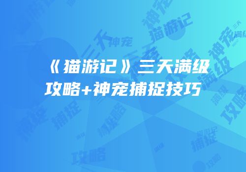 《猫游记》三天满级攻略+神宠捕捉技巧