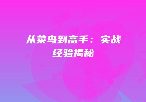 从菜鸟到高手：实战经验揭秘