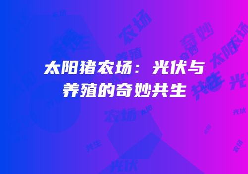 太阳猪农场：光伏与养殖的奇妙共生