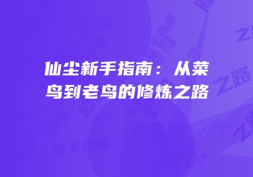 仙尘新手指南：从菜鸟到老鸟的修炼之路