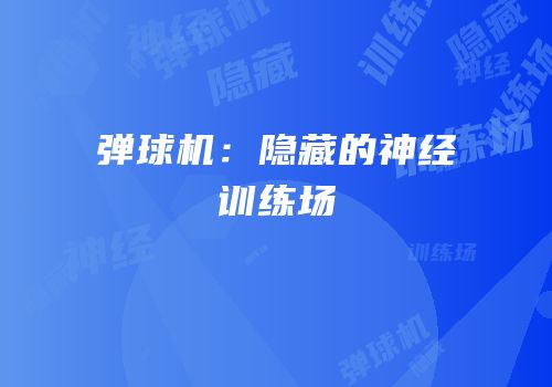 弹球机：隐藏的神经训练场
