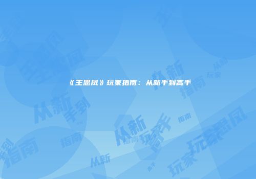 《王思凤》玩家指南：从新手到高手