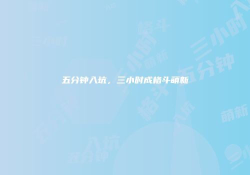 五分钟入坑，三小时成格斗萌新