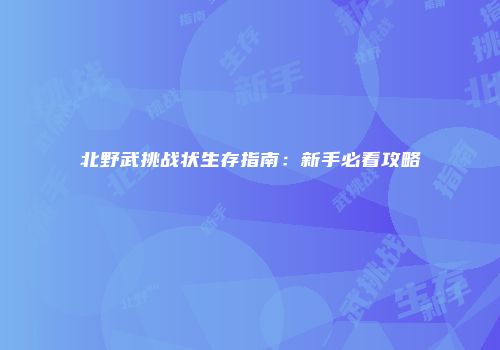 北野武挑战状生存指南：新手必看攻略