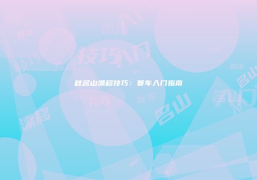 秋名山漂移技巧：赛车入门指南