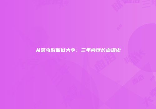 从菜鸟到监狱大亨:三年典狱长血泪史