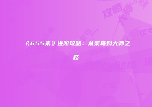 《655米》进阶攻略：从菜鸟到大师之路