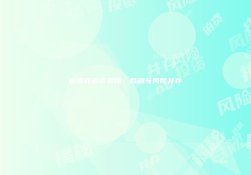 拍贷网投资揭秘：合规与风险并存