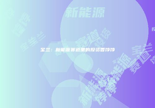 宝兰：新能源赛道里的投资香饽饽