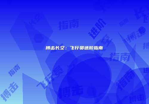 搏击长空：飞行员进阶指南