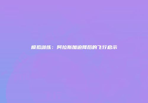 模拟训练：阿拉斯加迫降后的飞行启示