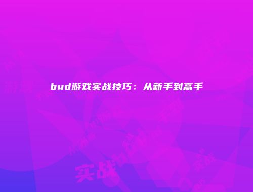 bud游戏实战技巧：从新手到高手