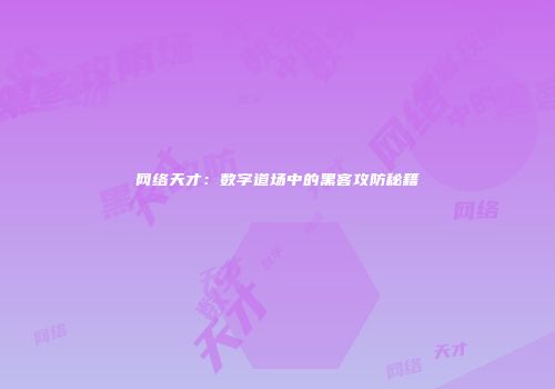 网络天才：数字道场中的黑客攻防秘籍