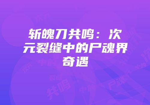 斩魄刀共鸣：次元裂缝中的尸魂界奇遇