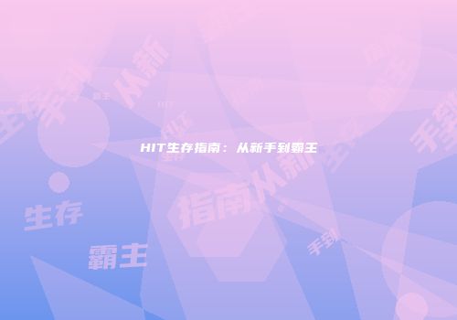 HIT生存指南:从新手到霸主