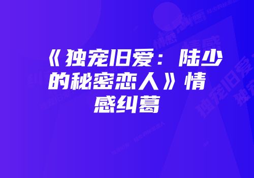 《独宠旧爱：陆少的秘密恋人》情感纠葛