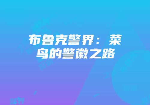 布鲁克警界：菜鸟的警徽之路