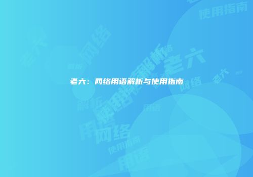 老六：网络用语解析与使用指南