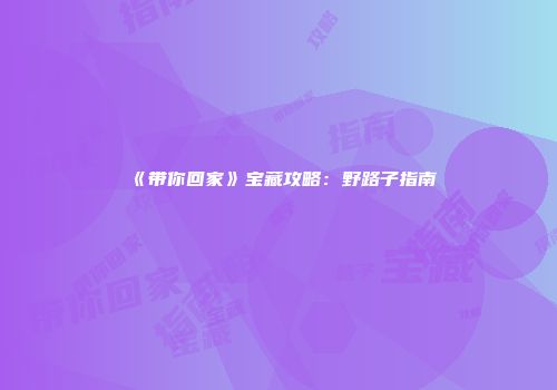 《带你回家》宝藏攻略:野路子指南