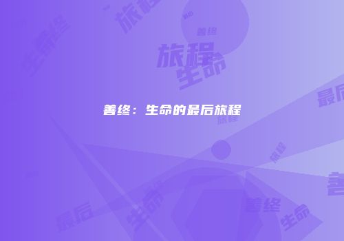 善终：生命的最后旅程