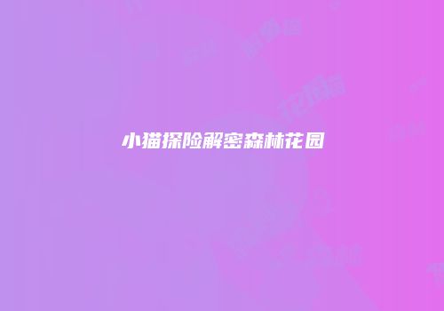 小猫探险解密森林花园