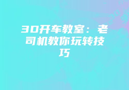3D开车教室：老司机教你玩转技巧