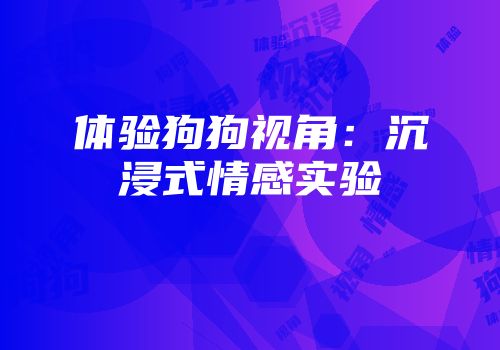 体验狗狗视角：沉浸式情感实验