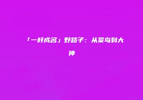 「一杆成名」野路子：从菜鸟到大神
