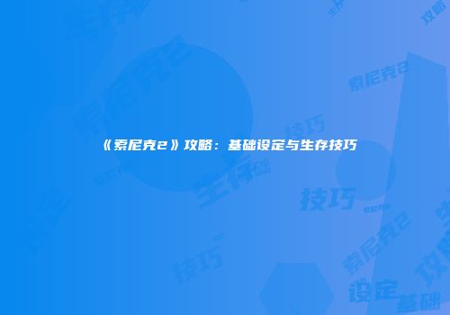 《索尼克2》攻略：基础设定与生存技巧